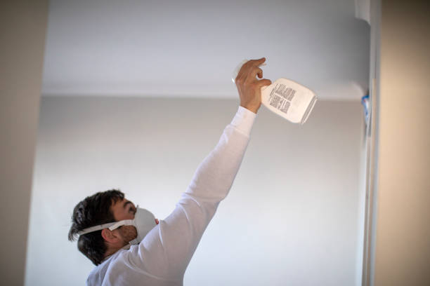 Best Mold Remediation for Specific Building Types in Woodfield, SC