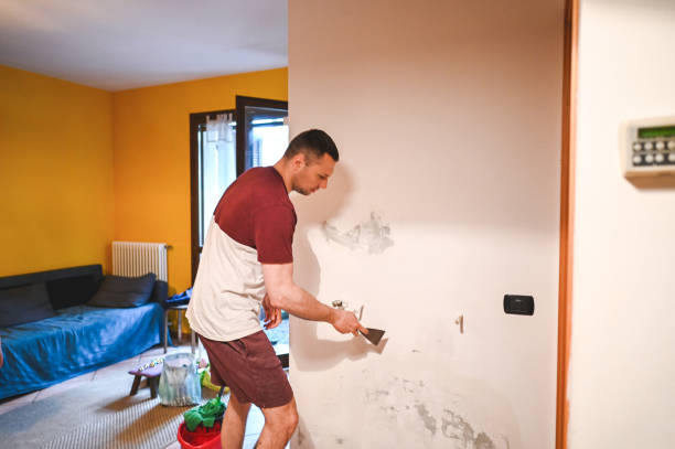 Best Mold Remediation for Schools in Woodfield, SC